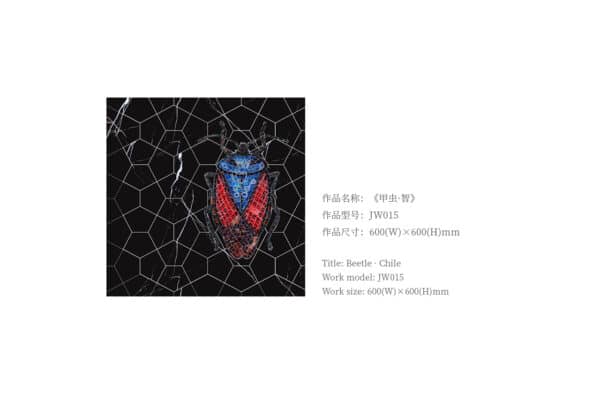 Beetle Chile - 图片 3