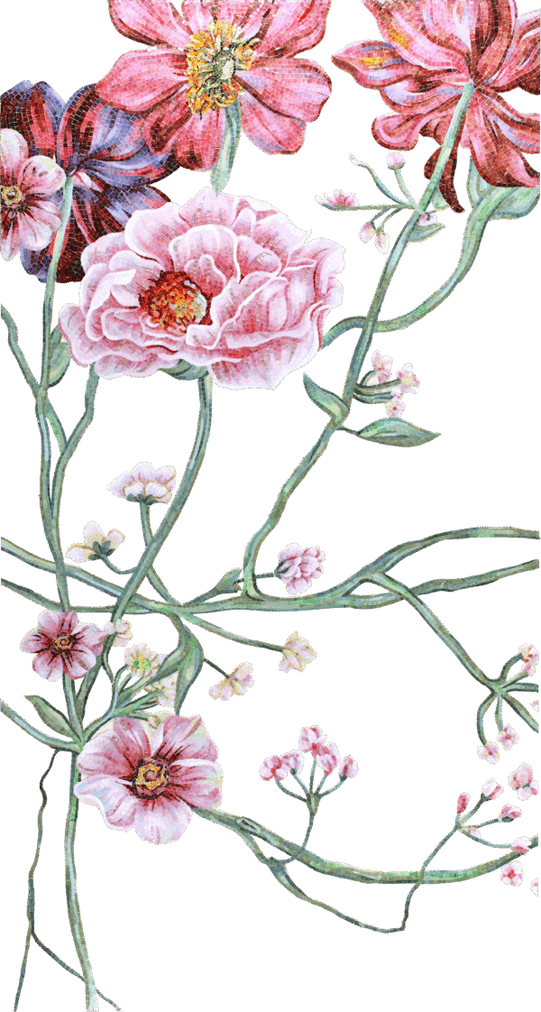 Iluo  Chuanfang - Image 2