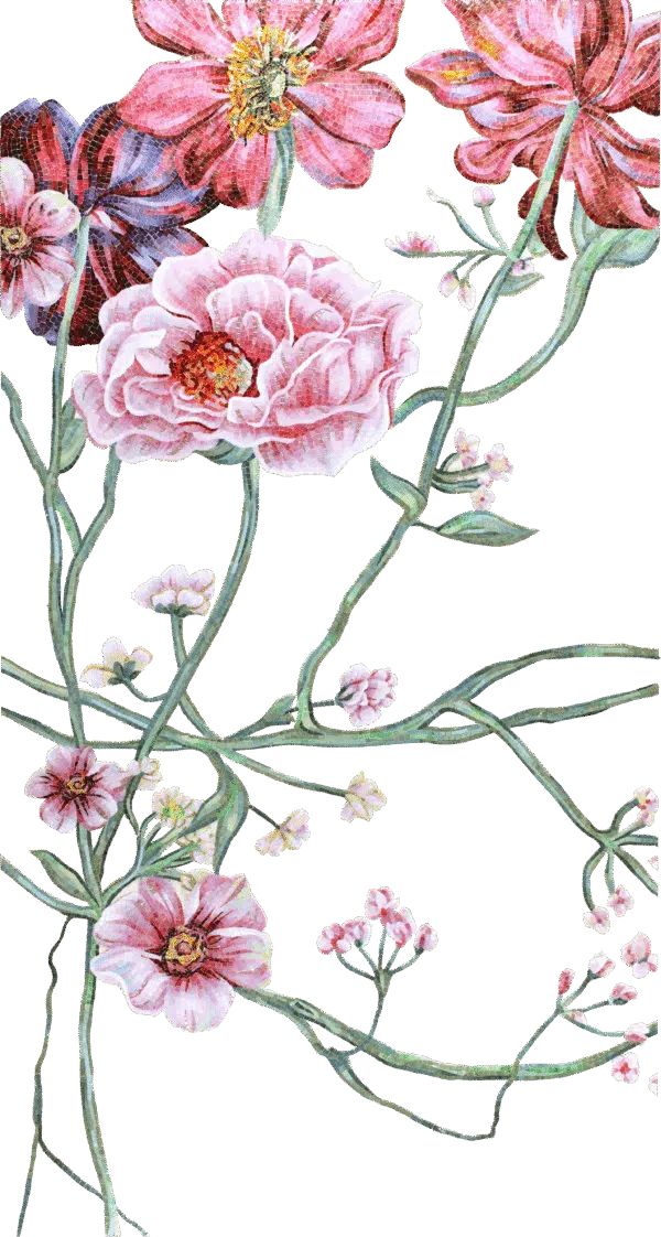 Iluo  Chuanfang - Image 2