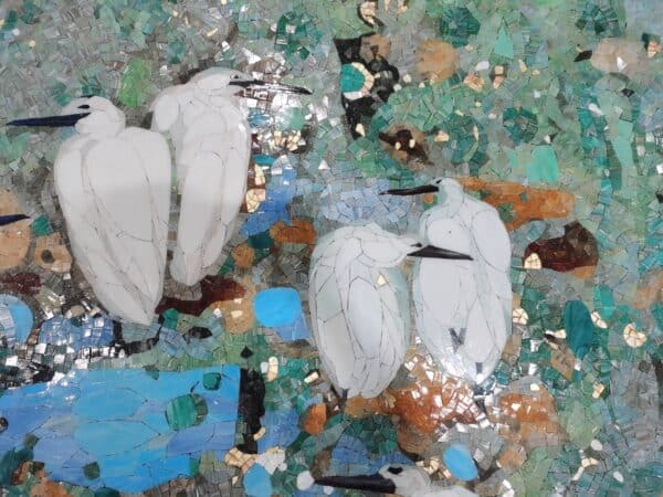 Symbiosis - Image 4