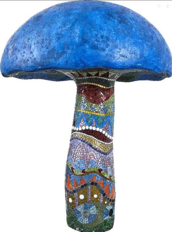 JNJ-23STONE - Image 6