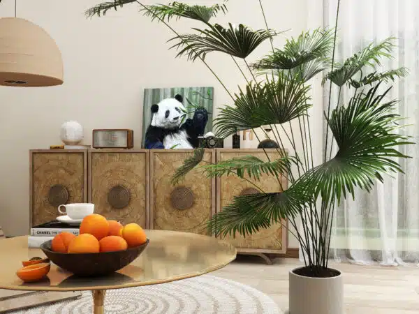 Panda Huahua - Image 7