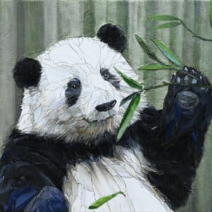 Panda Huahua