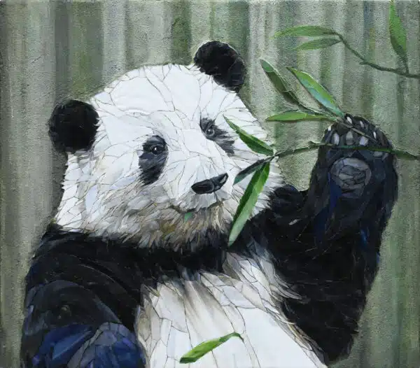 Panda Huahua