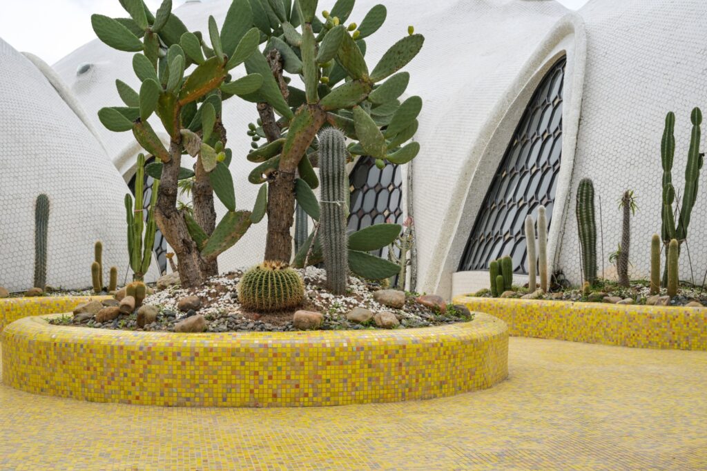 Cactus garden with integrated yellow mosaic seating and flooring