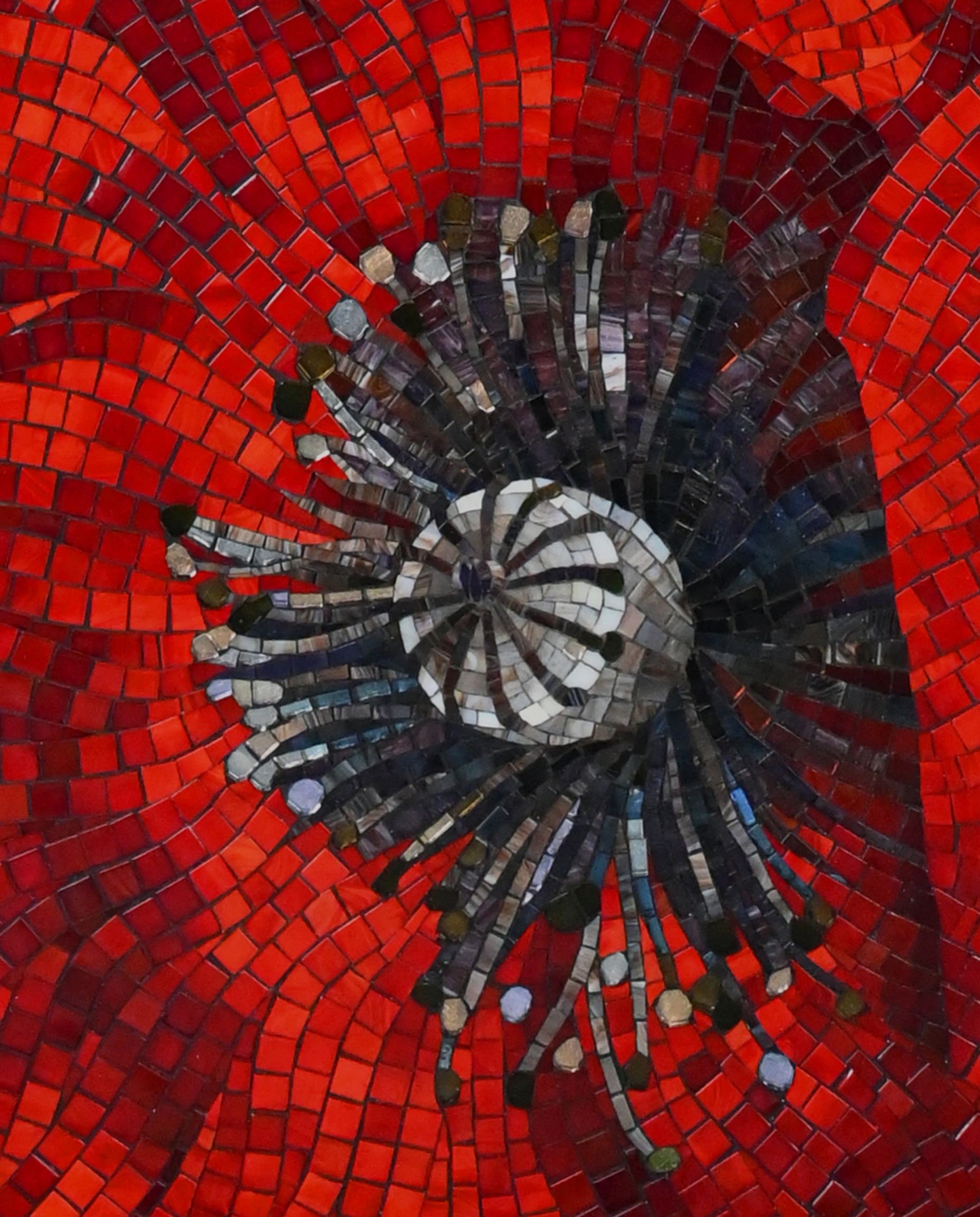 Crimson Bloom 3 Crimson Bloom - Image 3