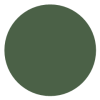 LDY70-GE-green-circle-240x240