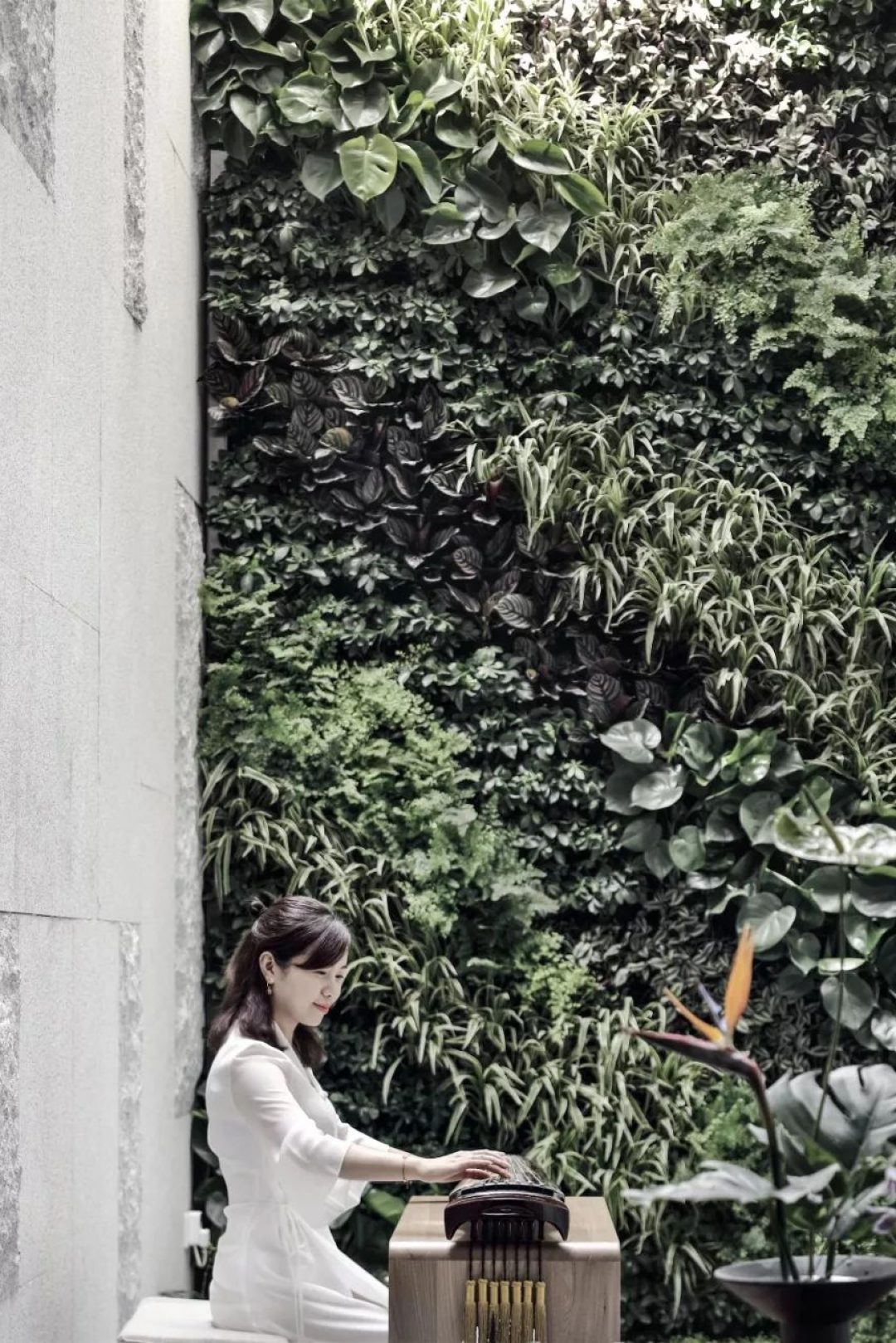 微信图片_20190920104601